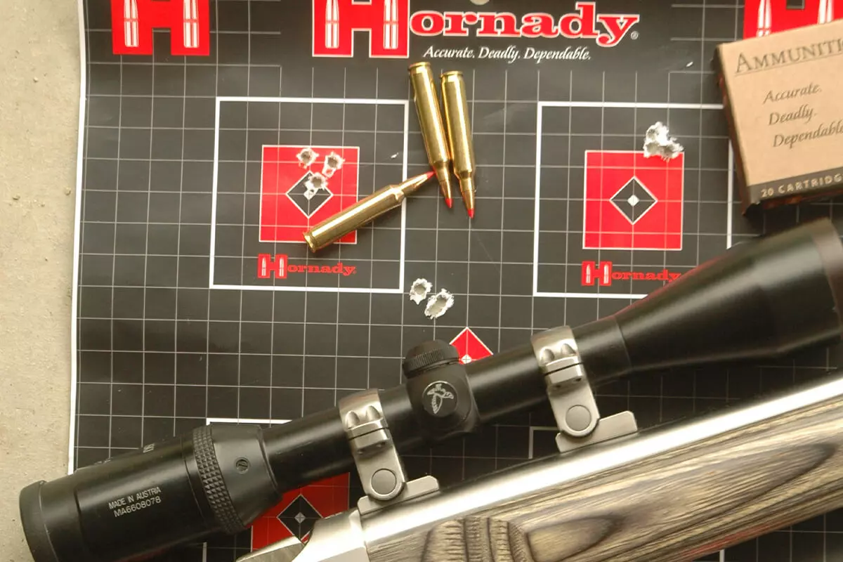ruger .204 cartridges and bughole groups