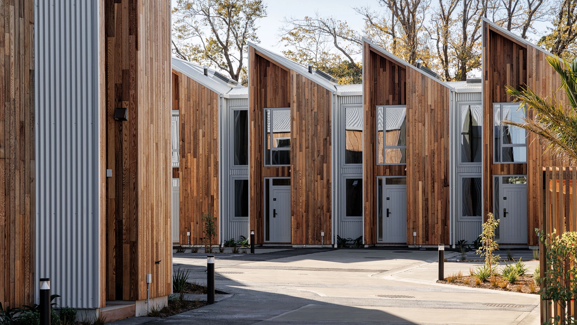 Timber & Tin, a project by Voxell architecture