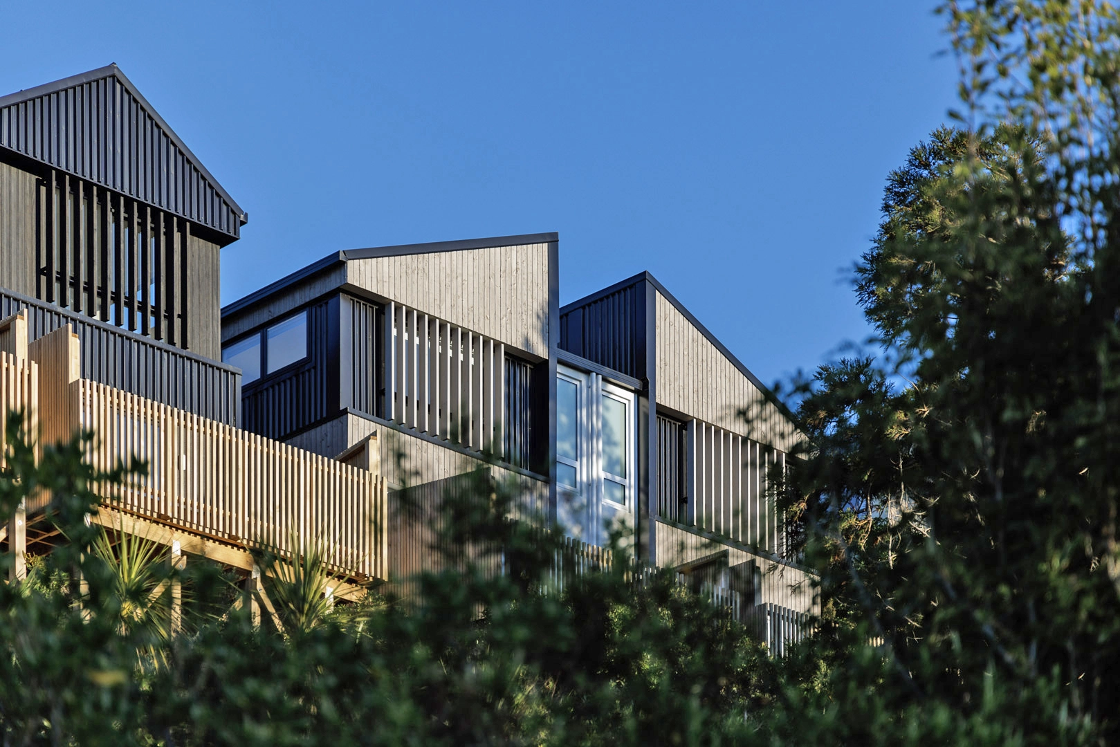Bushland Grove Development, a project by Voxell architecture