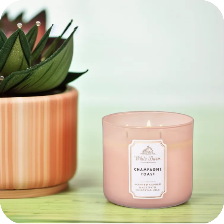 candle photo with plant
