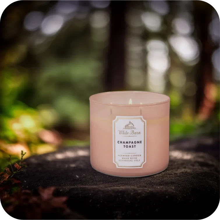 candle photo forest background
