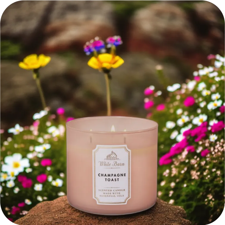 candle photo with plant
