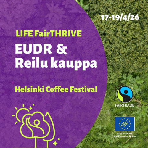 Mitä yrityksesi pitää tietää uudesta metsäkatoasetuksesta?