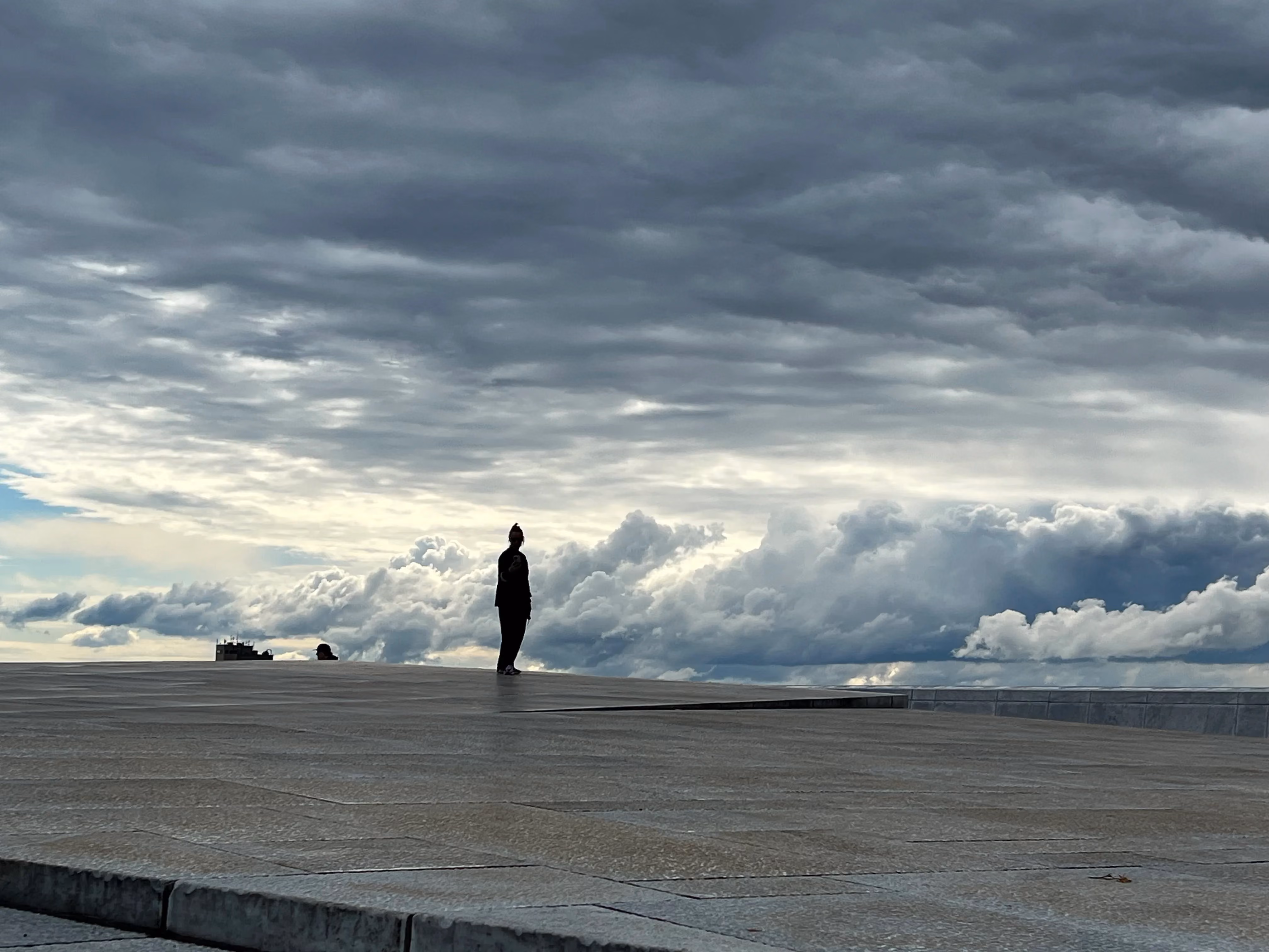 Experience the best of Oslo