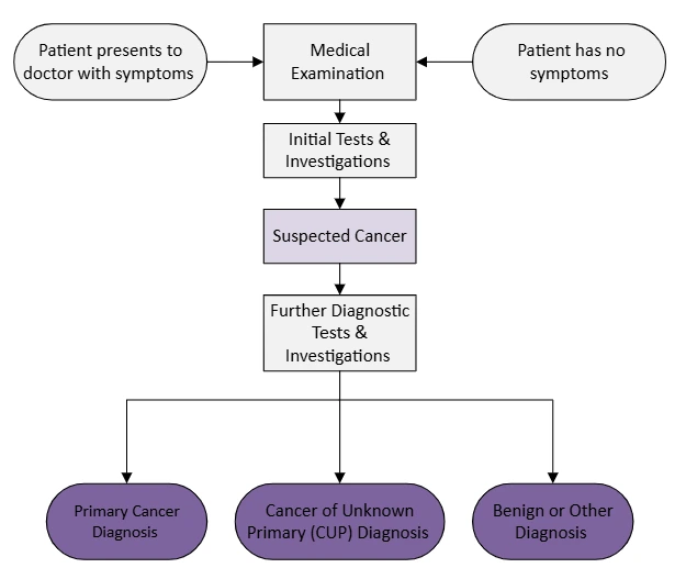 Flowchart of Diagnostic pathway. Progresses from patient presenting to doctor, leading to a medical examination and initial tests & investigations, to 'suspected cancer', which is followed by further diagnostic tests and investigations, leading to a primary cancer-, cancer of unknown primary-, or benign diagnosis. 