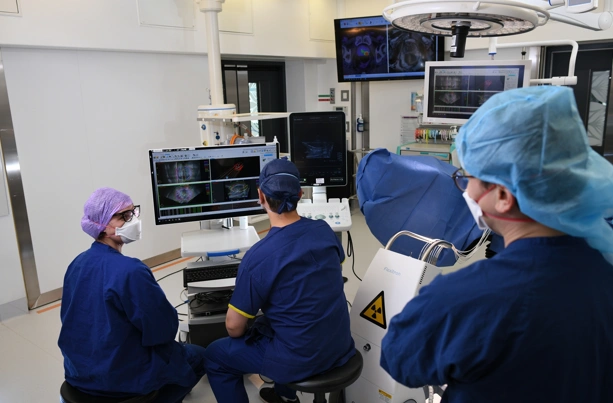 Depiction of surgeons viewing images of a patients scan