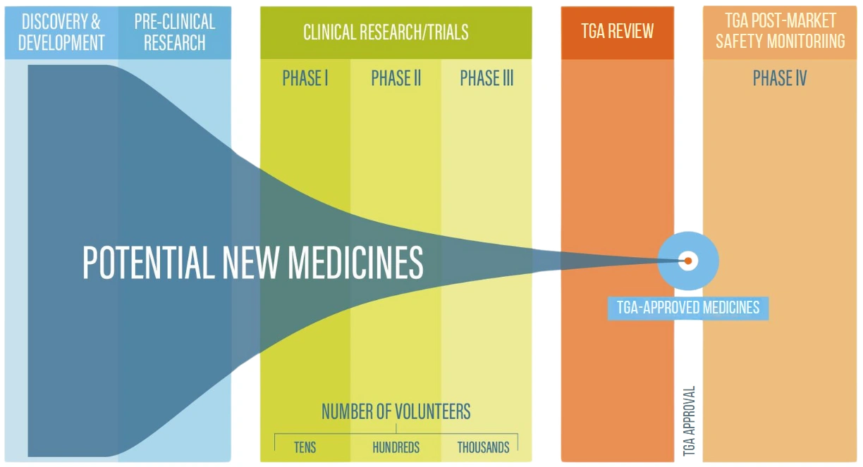 Flowchart of phases of clinical trials