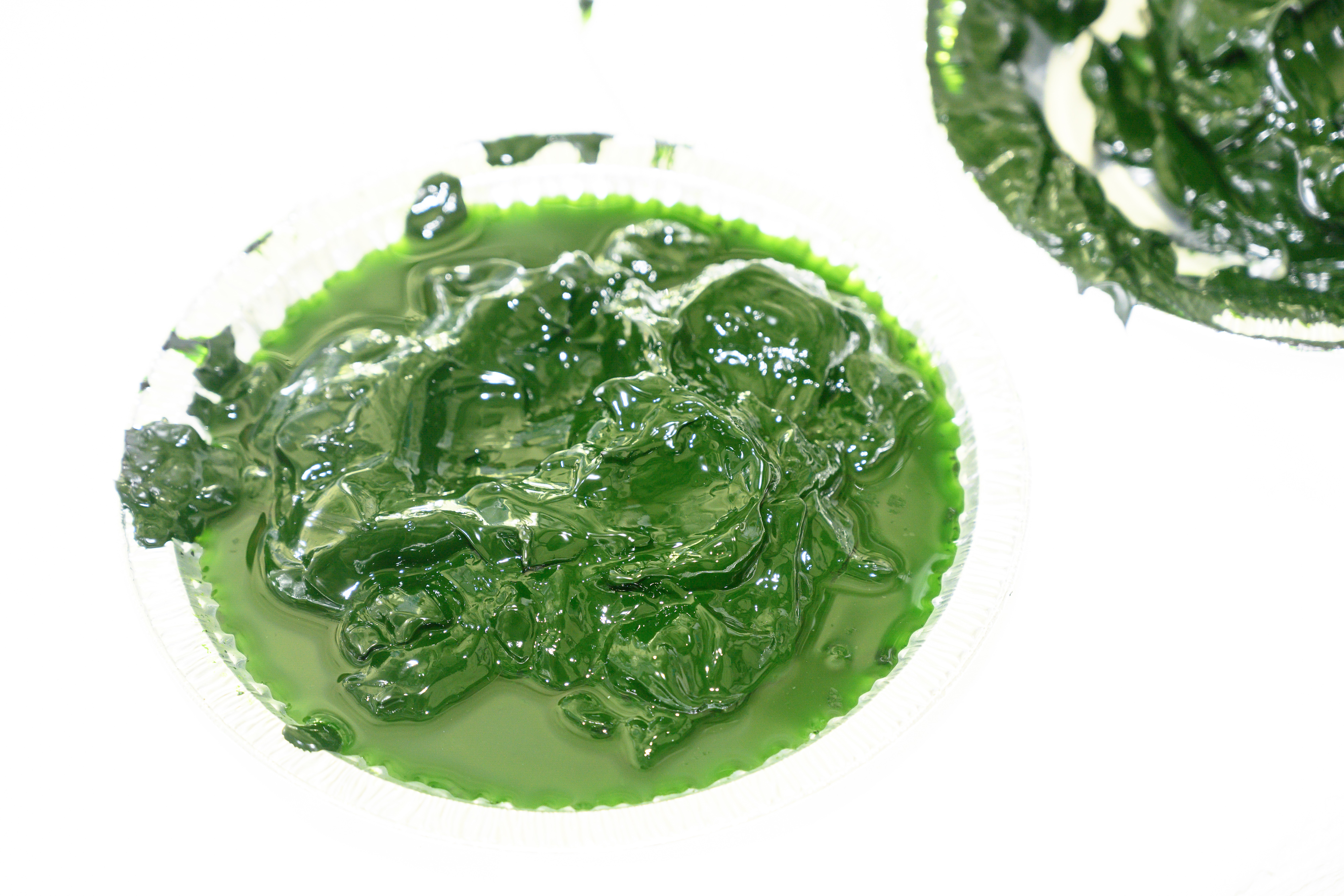 Microalgae