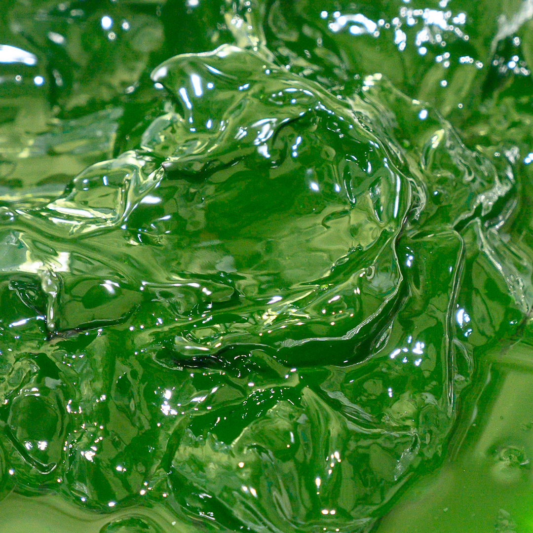 micro algae