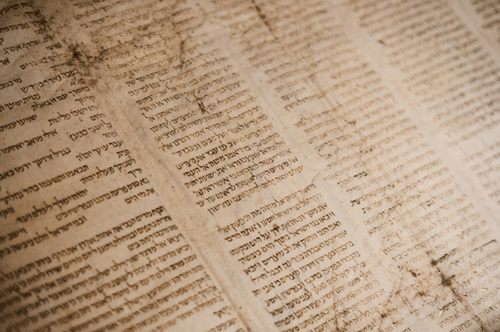 Séminales langues sémitiques : patrimoine de l’humanité