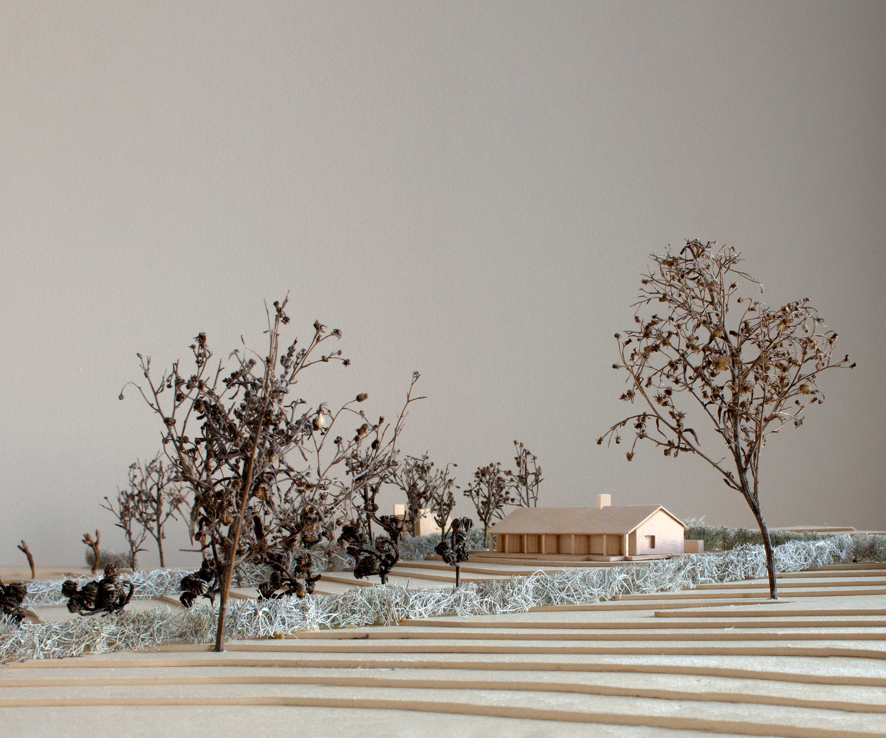 Lewisham, architect residential extension, London - model