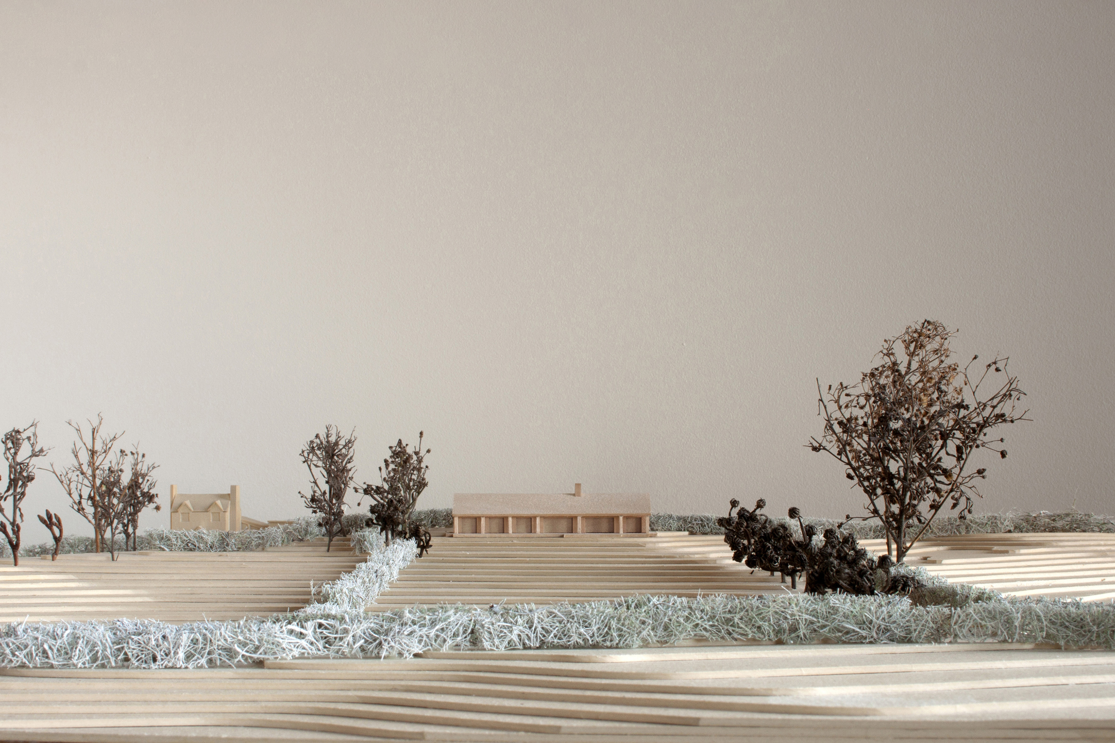 Lewisham, architect residential extension, London - model