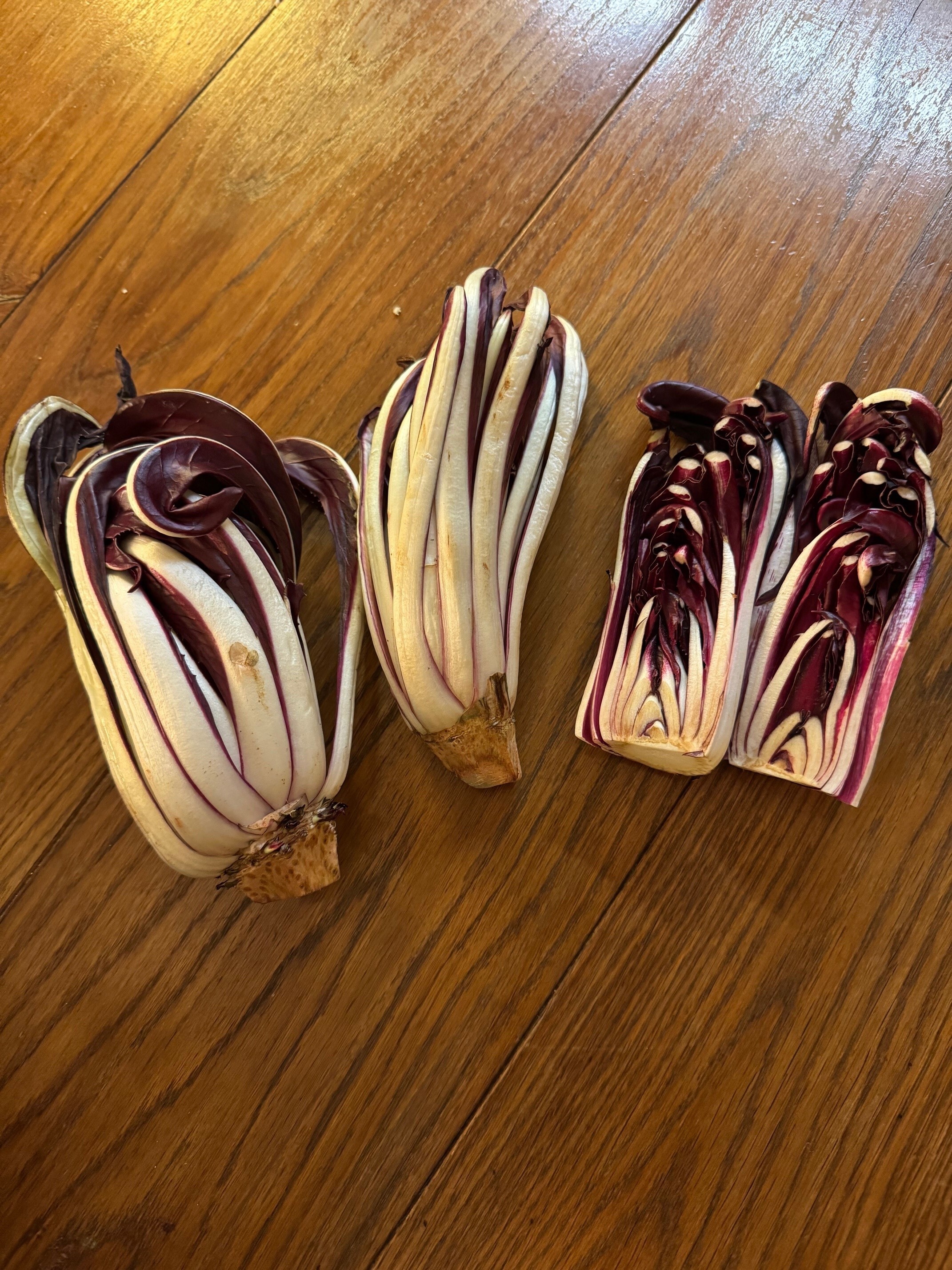 Red Treviso Radicchio