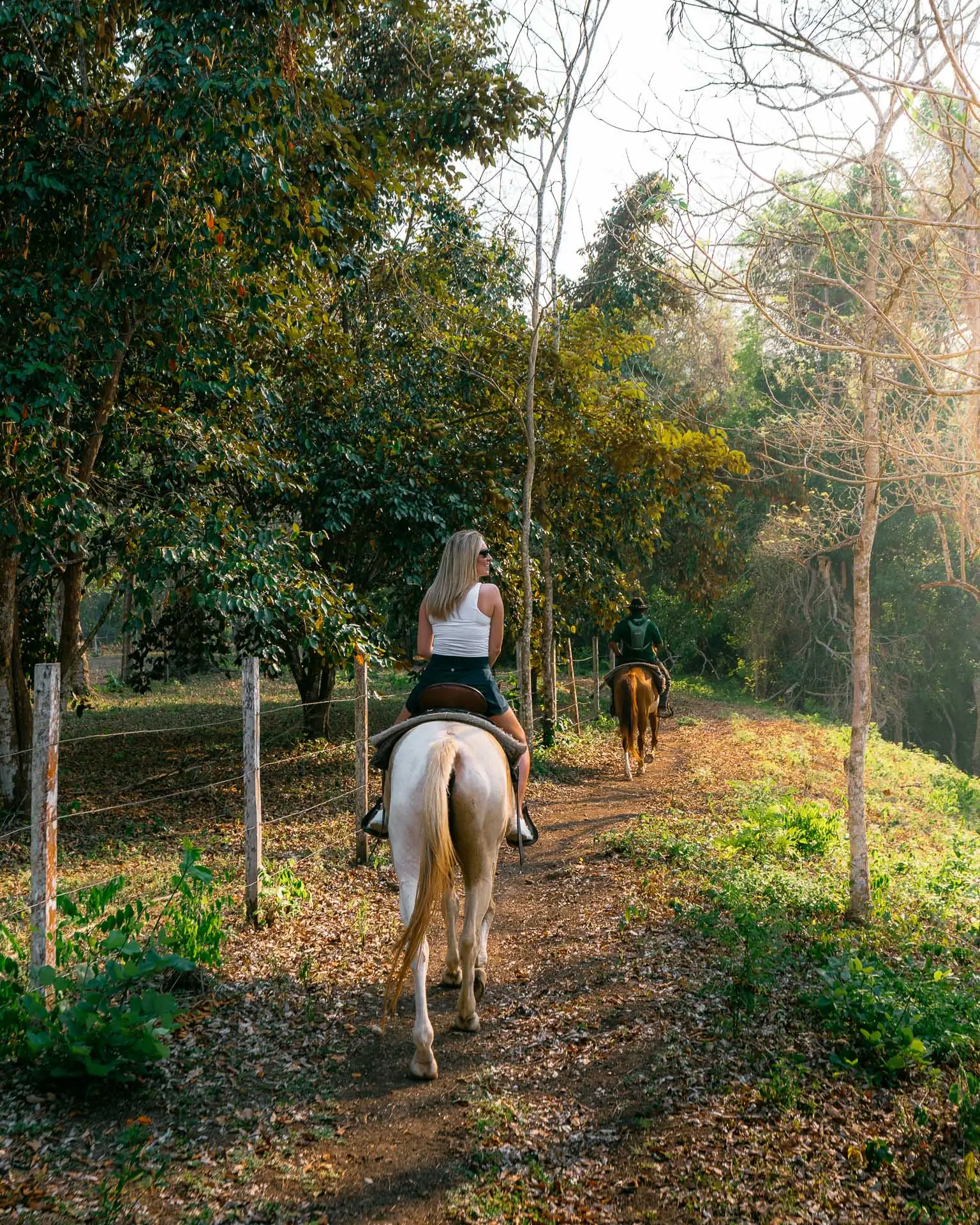 Two people riding horses on a sunlit forest trail surrounded by trees and greenery at Sweet Songs Jungle Lodge in Belize.