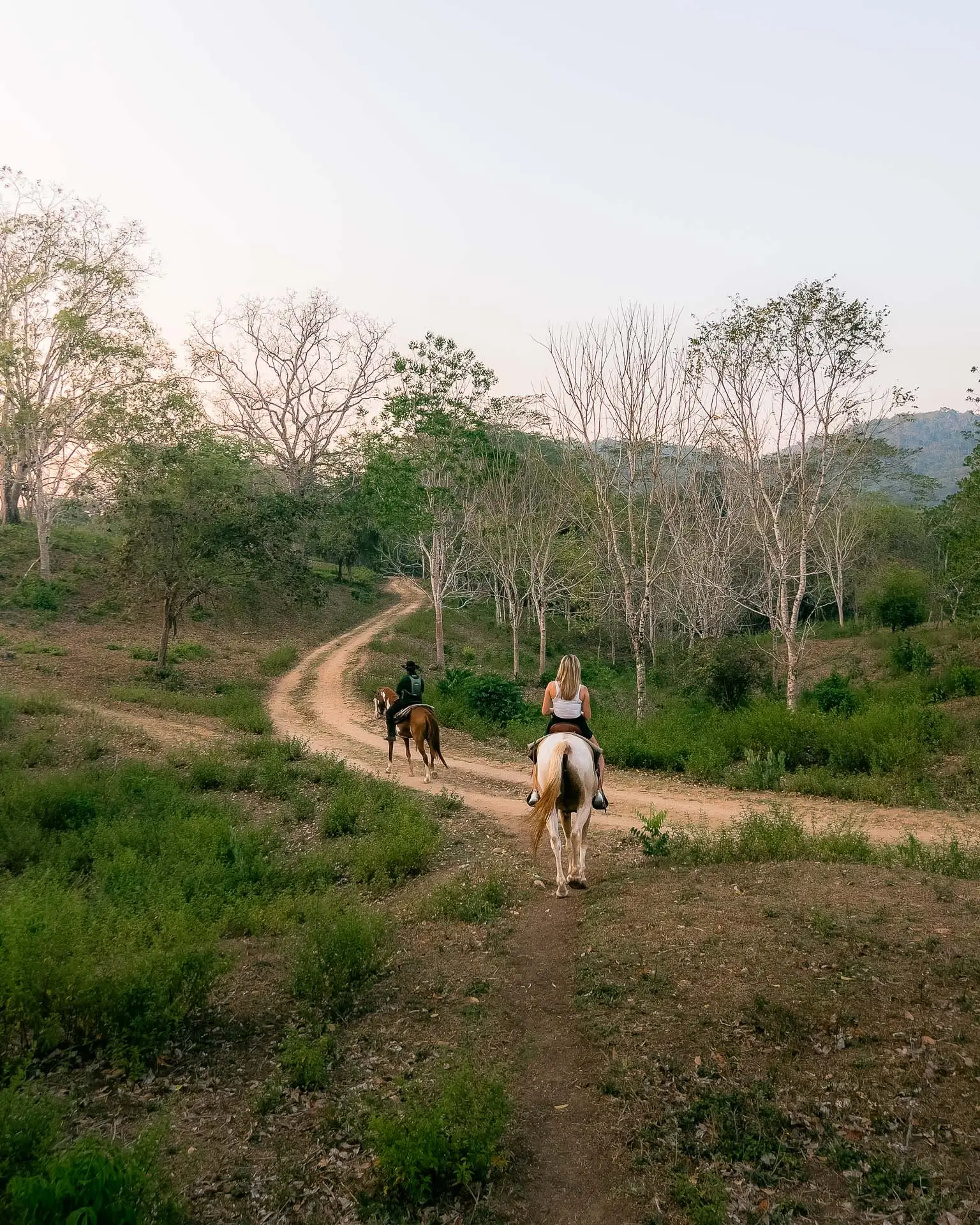 Two people riding horses on a winding dirt trail through a green and dry forest landscape at Sweet Songs Jungle Lodge in Belize.