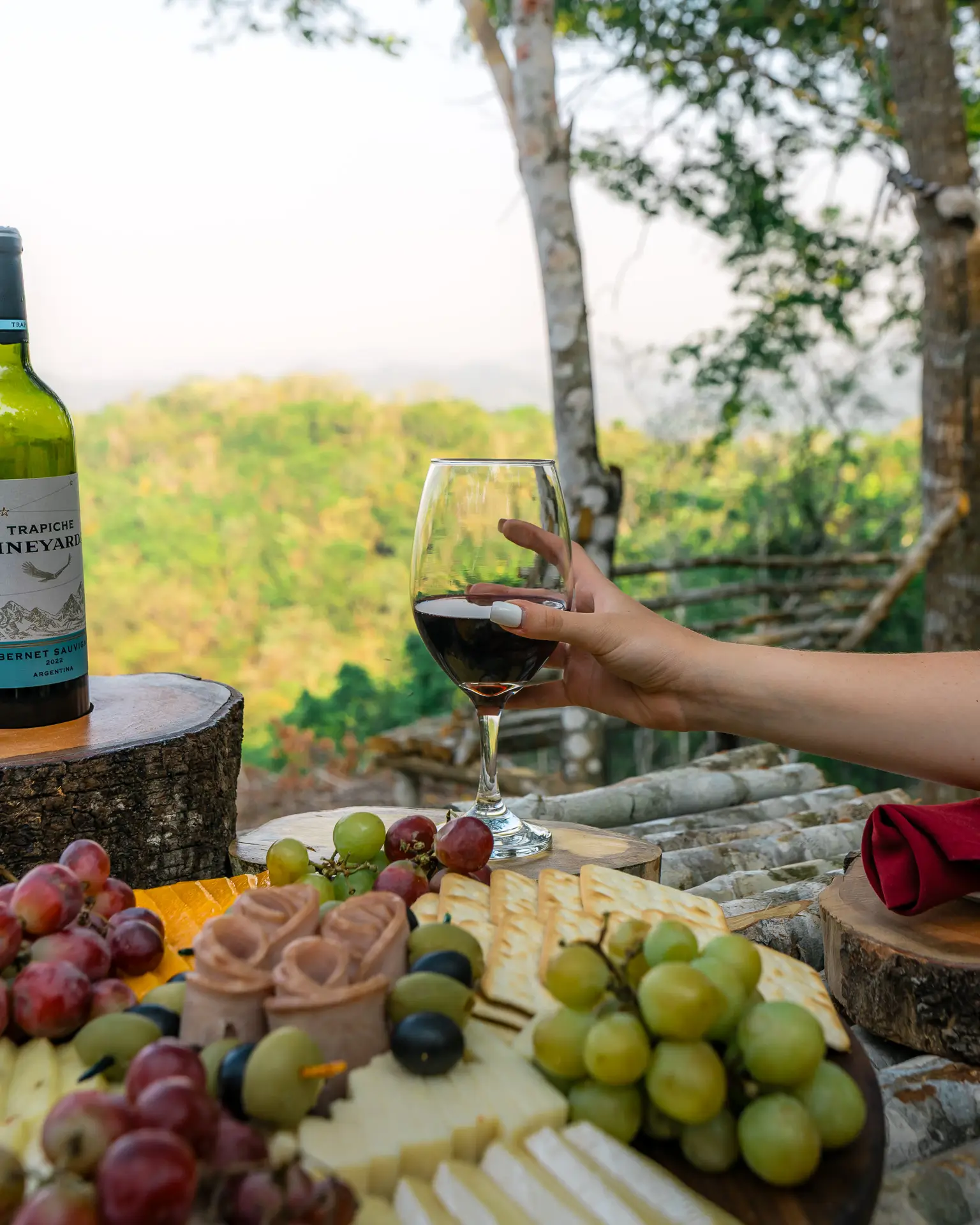 Hand holding a glass of red wine near a charcuterie board with cheese, grapes, and crackers outdoors at Sweet Songs Jungle Lodge in Belize.