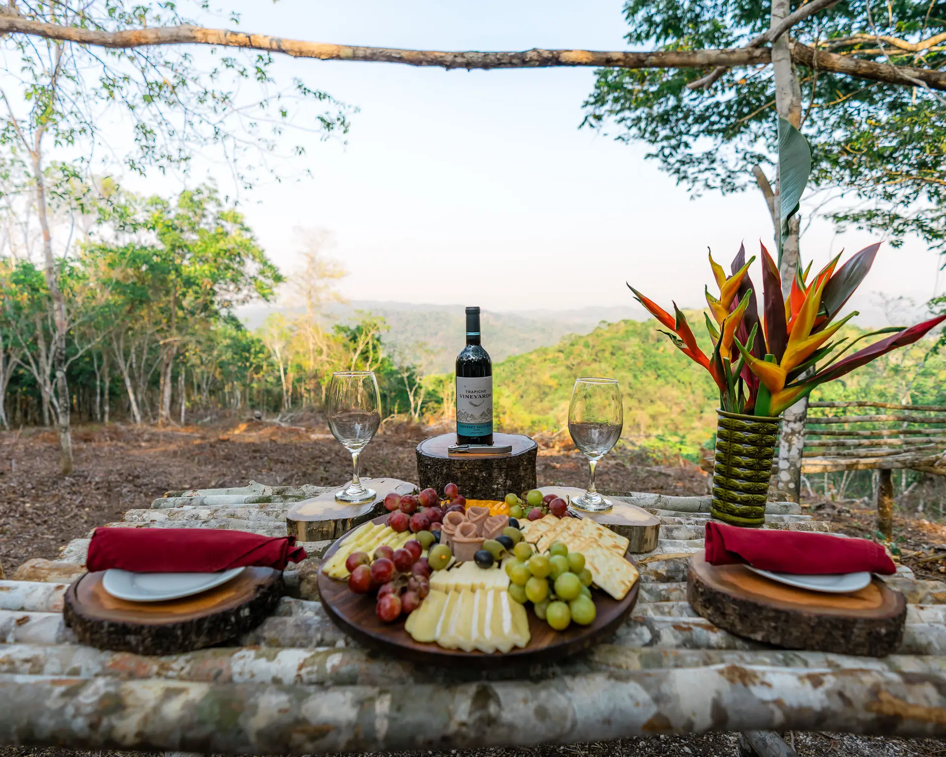 Outdoor rustic table set with cheese platter, grapes, wine bottle, two glasses, and flower vase with green forest view at Sweet Songs Jungle Lodge in Belize.