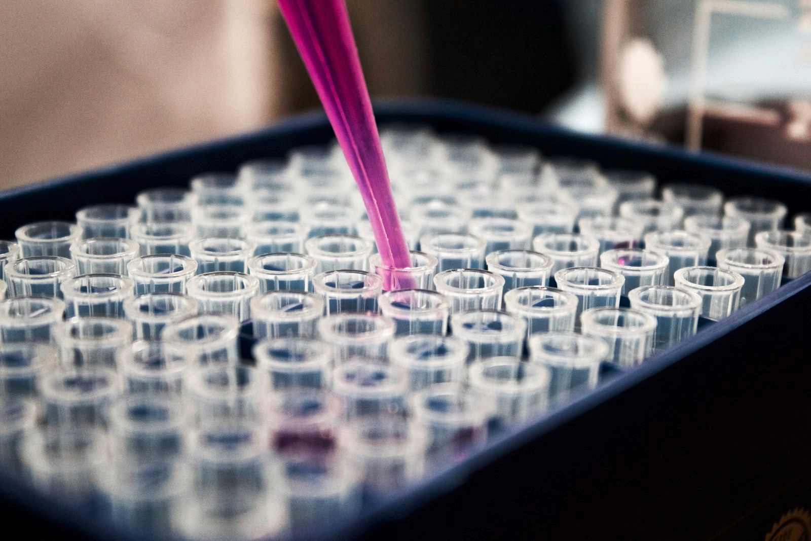 Pipette dispensing pink solution into a clear microcentrifuge tube in a lab rack