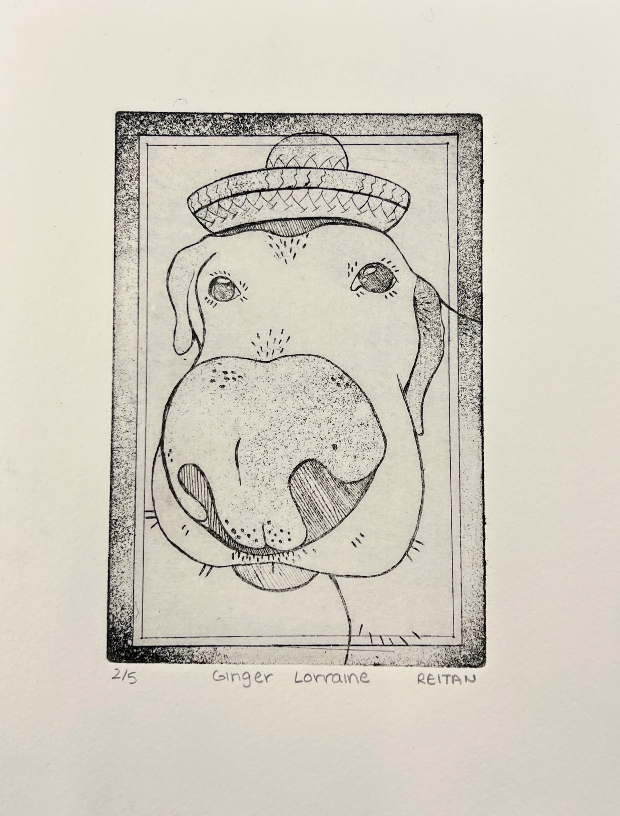 Black and white sketch of a dog with a large nose wearing a small hat within a textured rectangular frame.