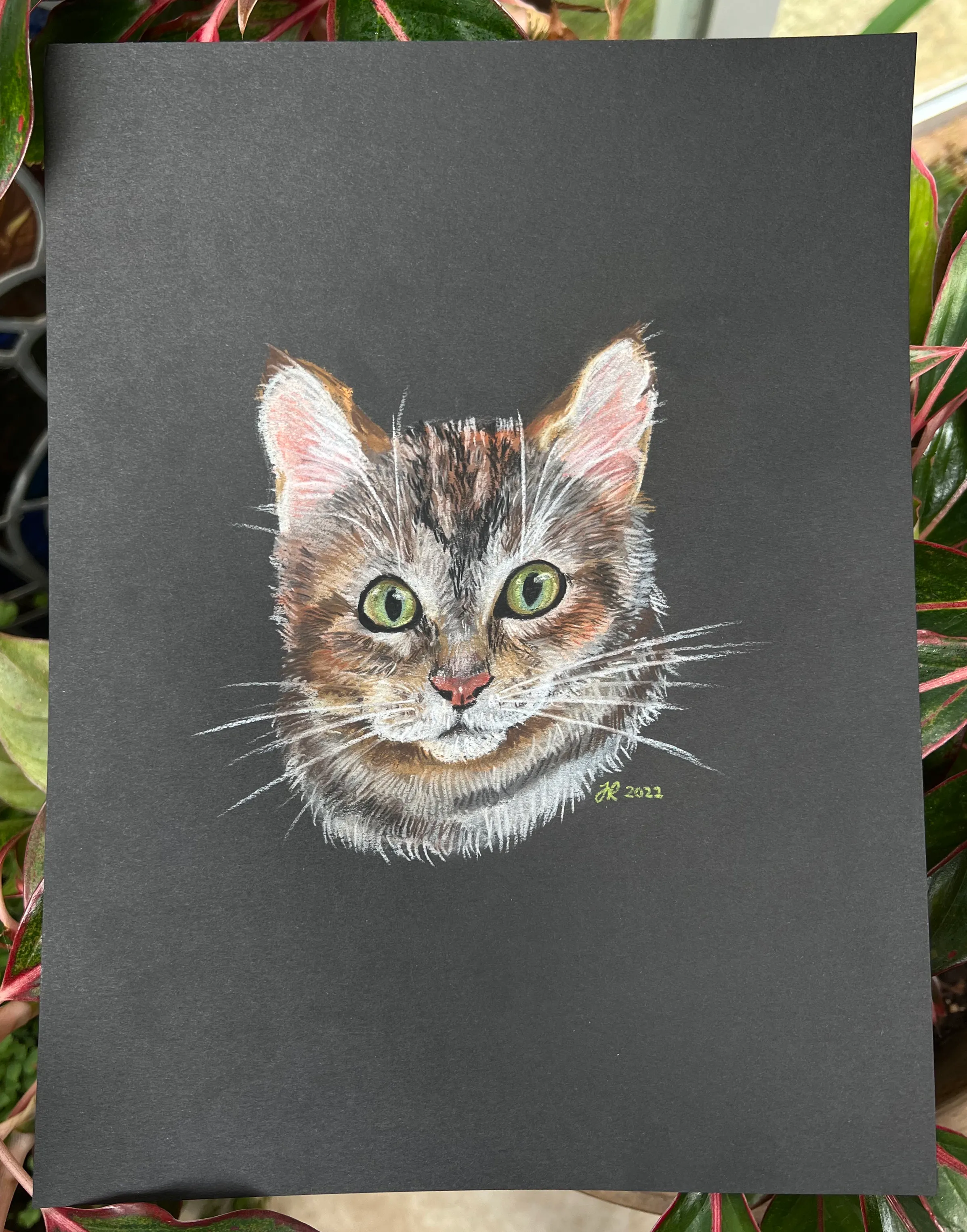 Colored pencil drawing of a cat's head with green eyes on black paper.