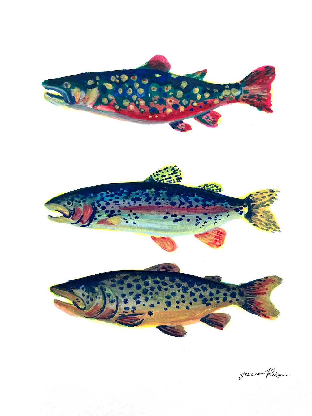 Illustration of three different colorful fish species arranged vertically on a white background, signed by the artist.
