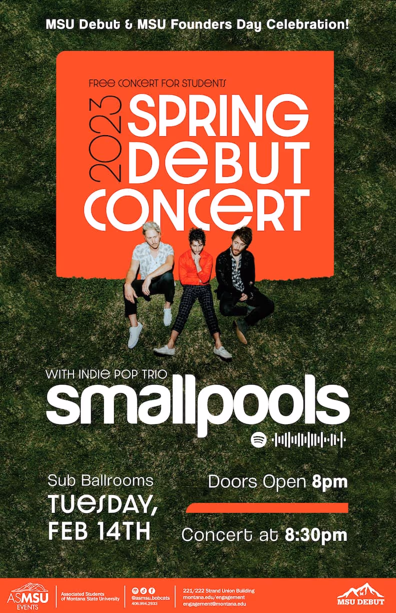 smallpools concert poster