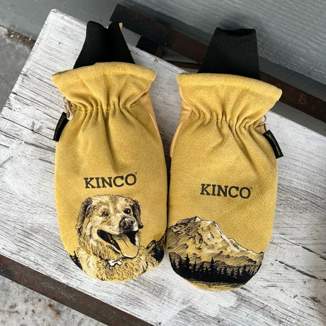 Mittens - ginger and mountain