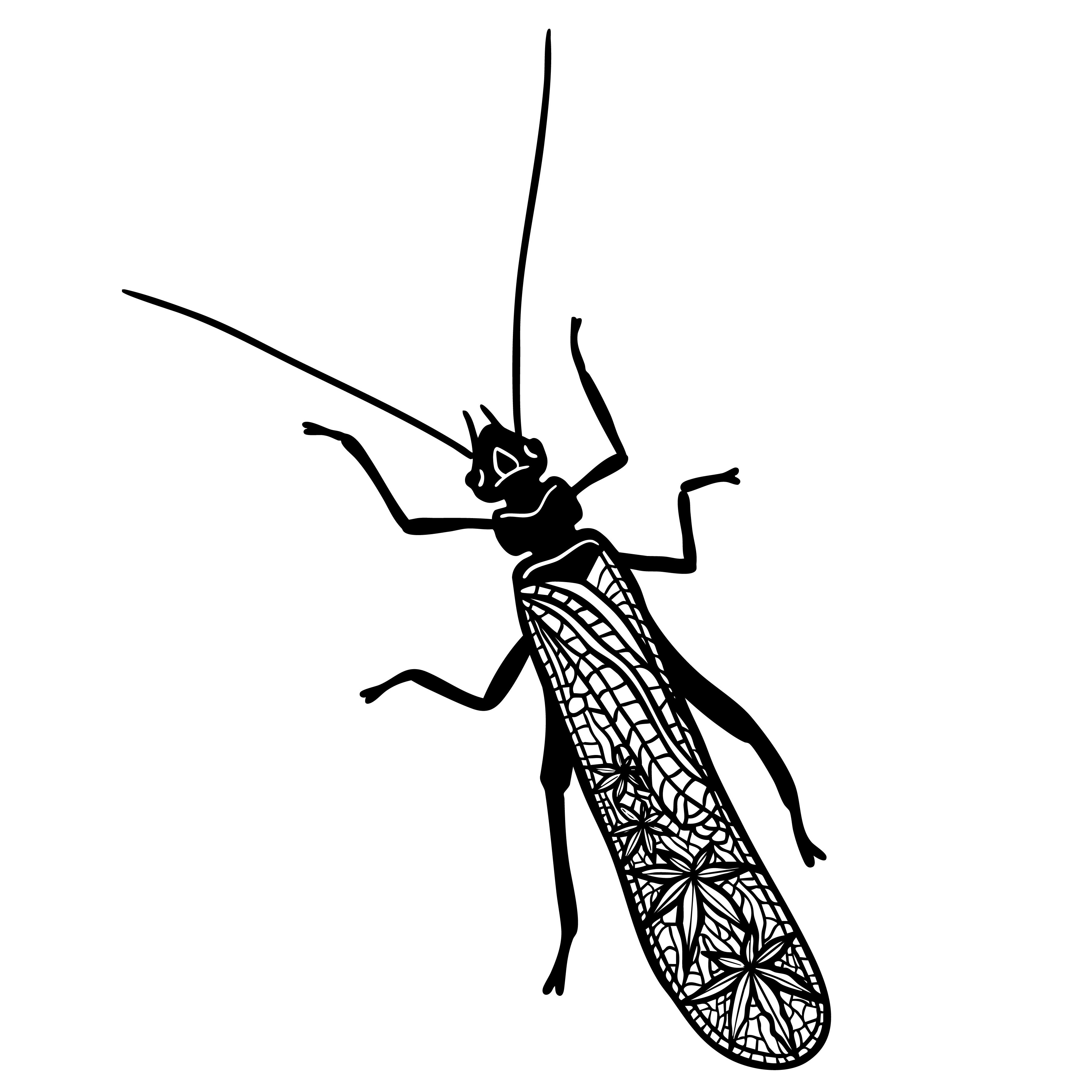 Black silhouette of a fly viewed from above with detailed wings and legs.