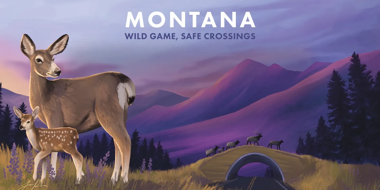 Illustration of a doe and fawn standing in a field with wildflowers against a purple mountain landscape and a wildlife crossing bridge with elk walking over it beneath a sky at dusk.