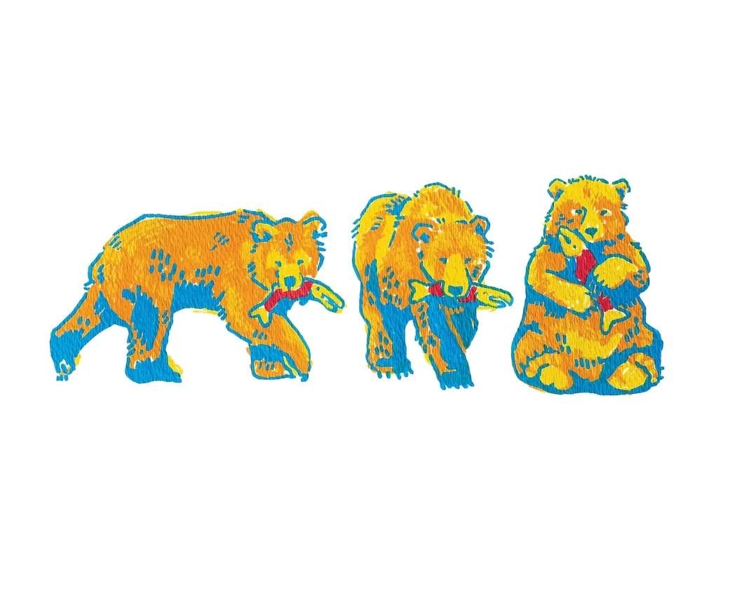 Illustration of three orange and blue bears eating red fish in different poses, on a white background.
