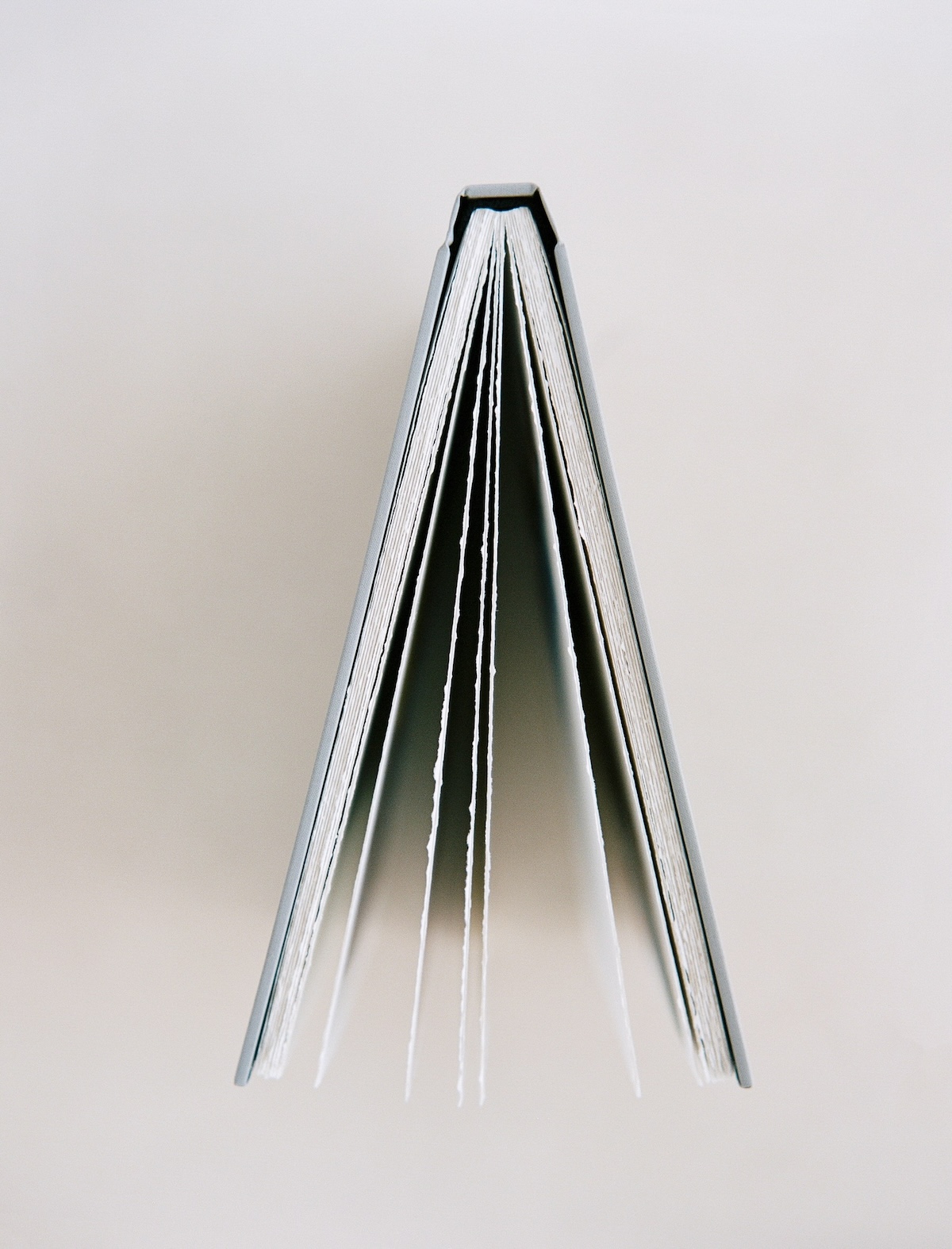 Open luxury wedding album studio photo
