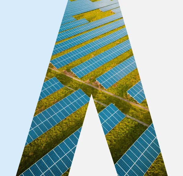 Aerial view of blue solar panels arranged in rows over green grass fields under sunlight.