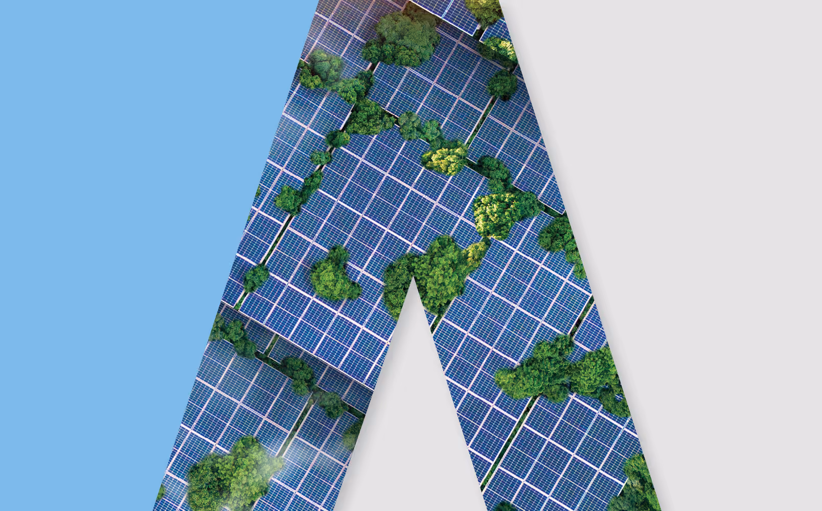 Solar panels from above with green tree in between