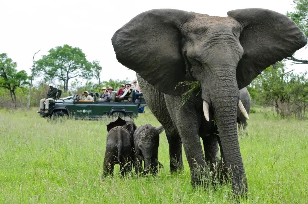Big 5 encounter