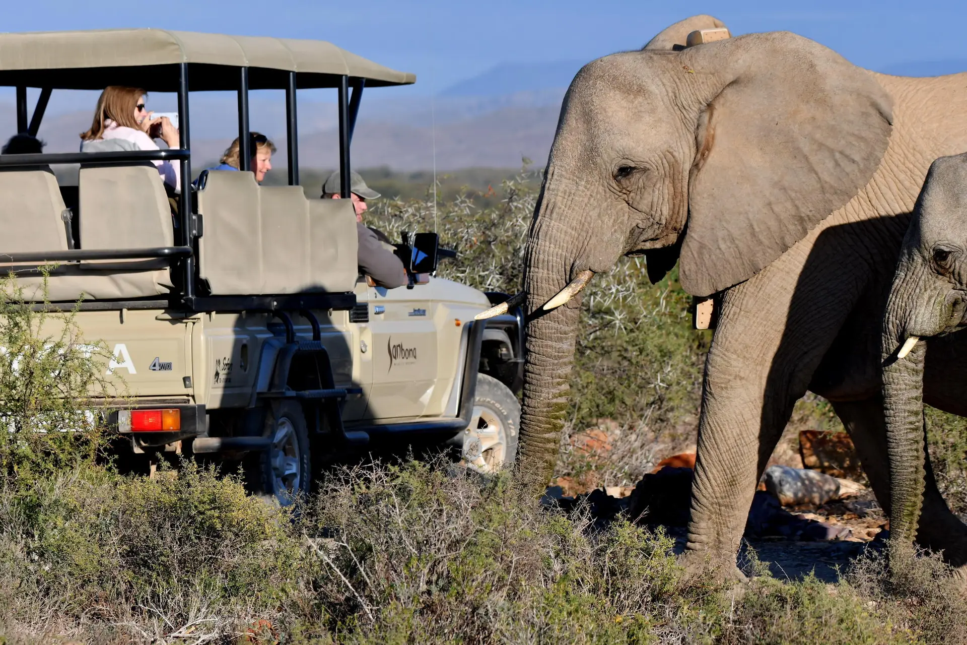 Big 5 Safaris The Curated Collection SAFARI COM Big 5 Safaris The Curated Collection SAFARI COM