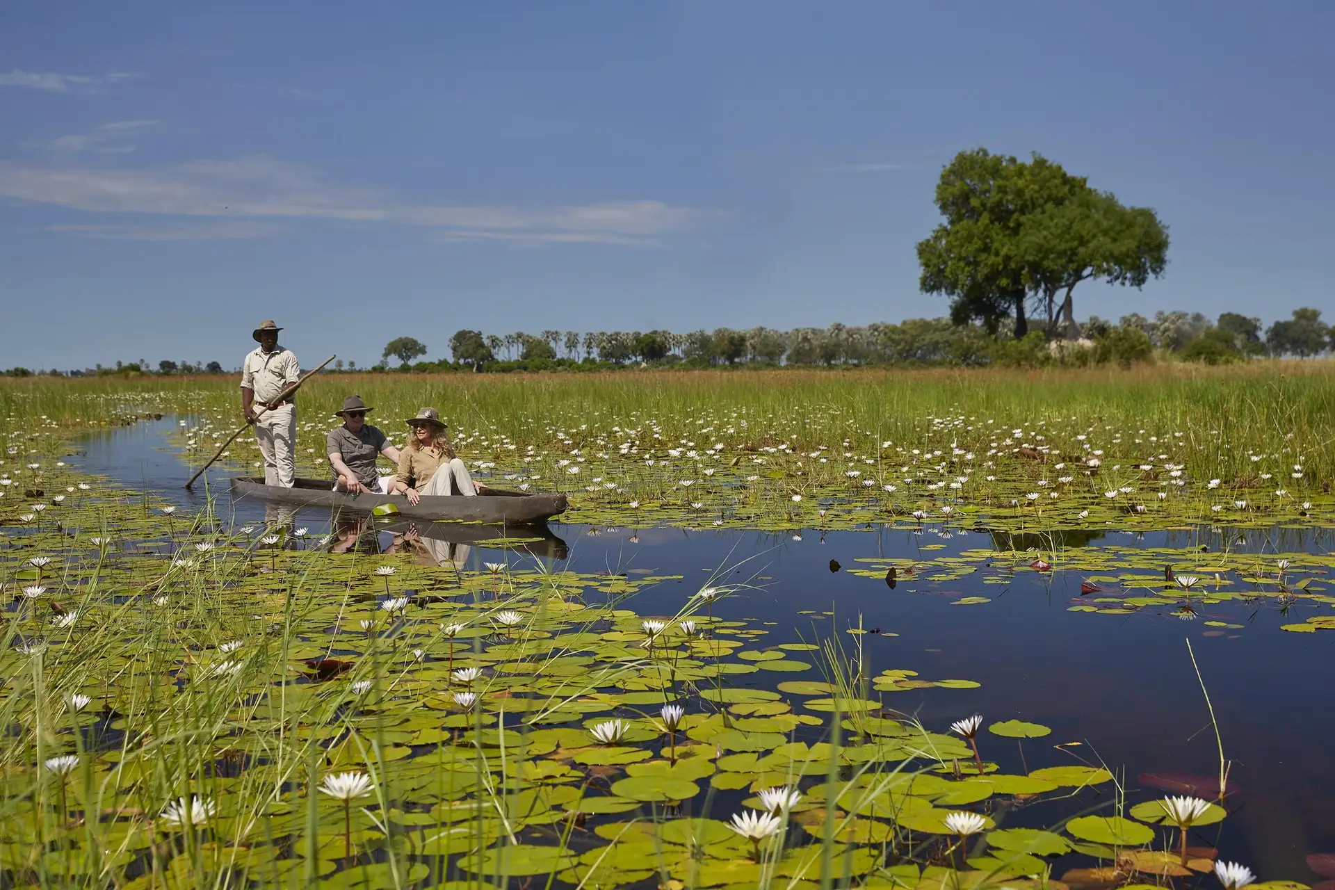Enjoy a mokoro safari along the channels, gliding through water lilies in a lush wetland.