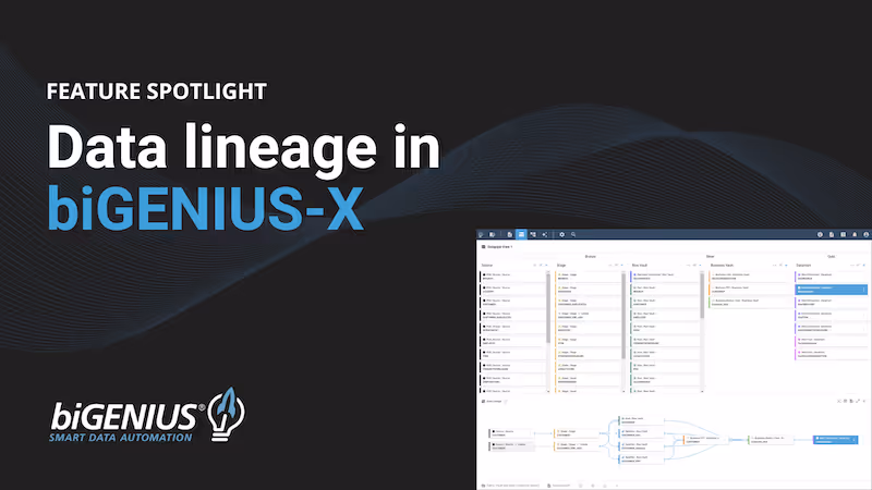 Data lineage in biGENIUS-X 