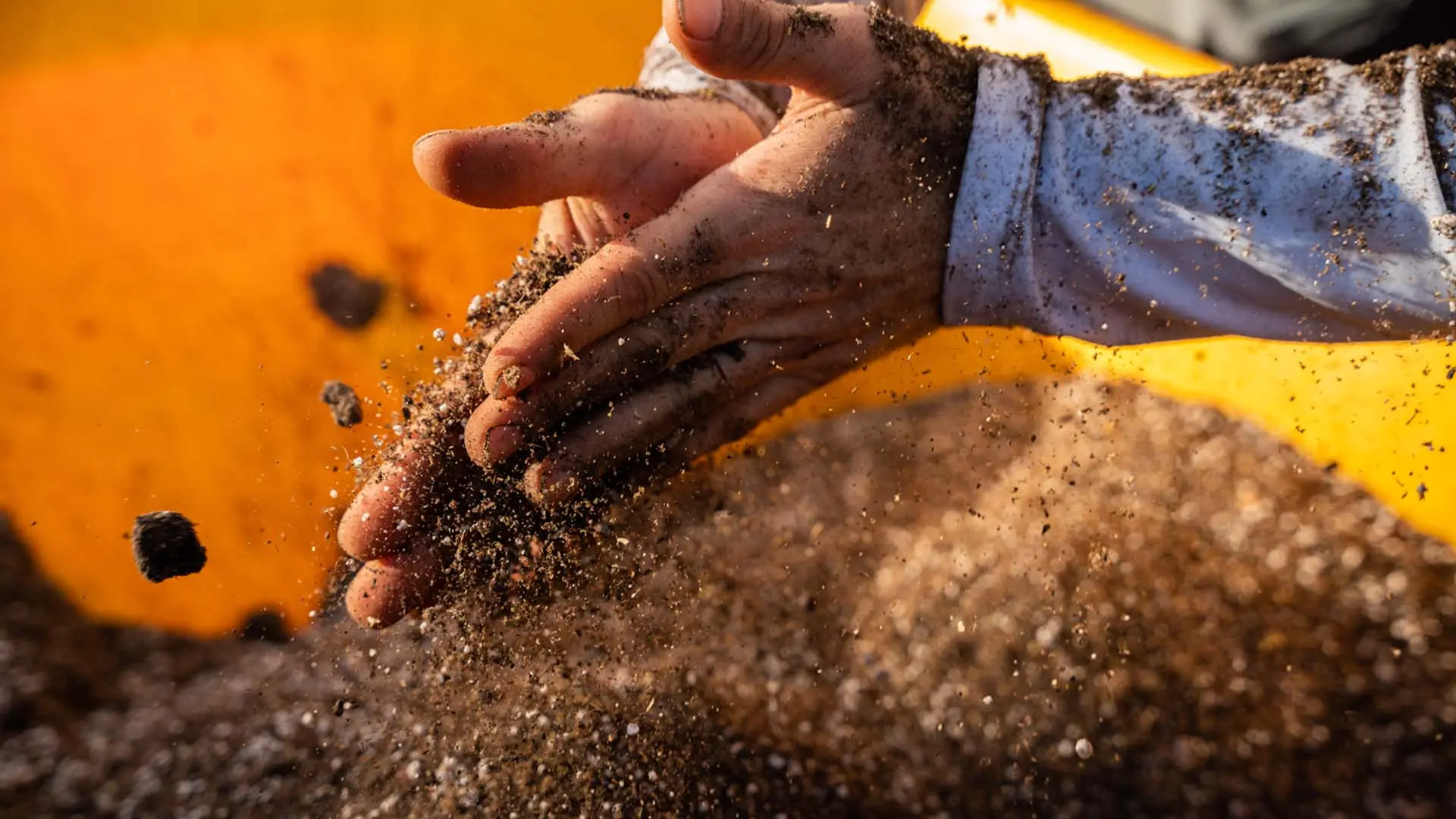 Case Study: Revival Gardening