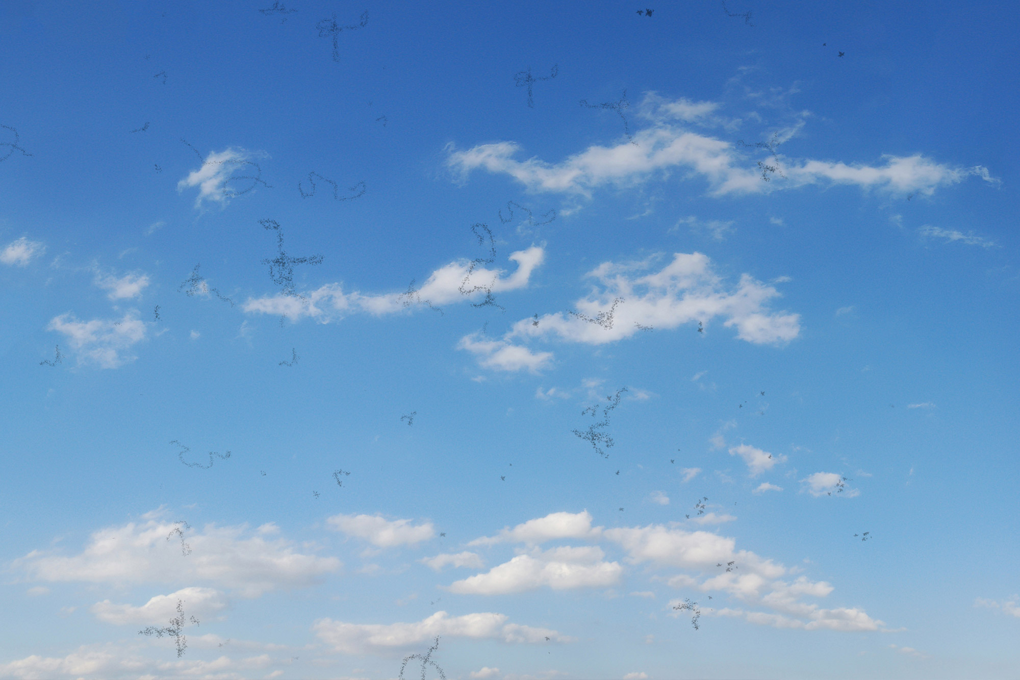 Floaters and Flashes: When Are They a Medical Emergency?