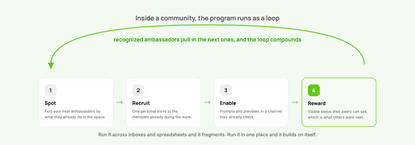The ambassador lifecycle as a loop inside a community: spot active members, recruit with one invite, enable with prompts and previews, reward with visible status, and recognized ambassadors recruit the next ones, feeding back to the start