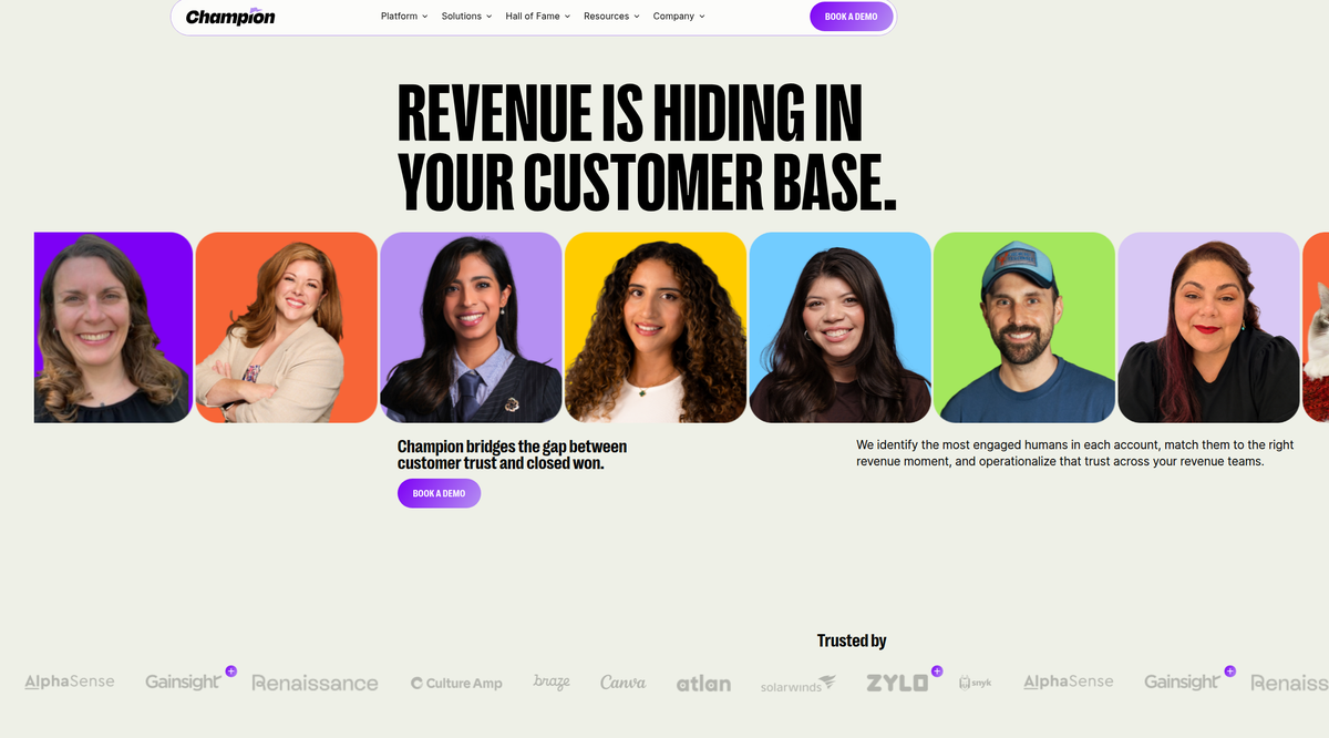 Champion platform for identifying customer champions