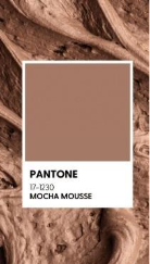 A close up of a colorAI-generated content may be incorrect.