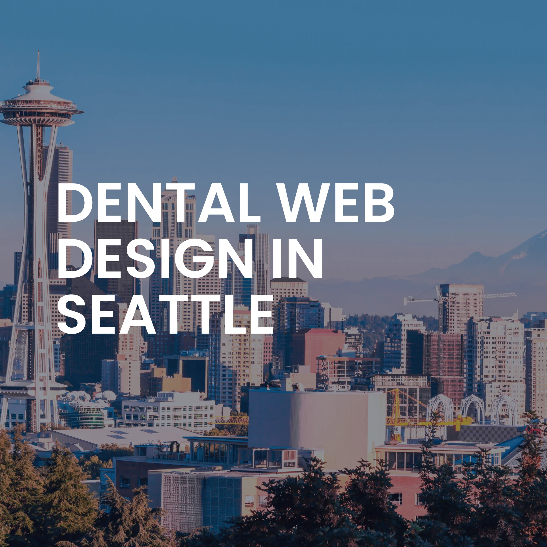 Seattle Dental Website Design