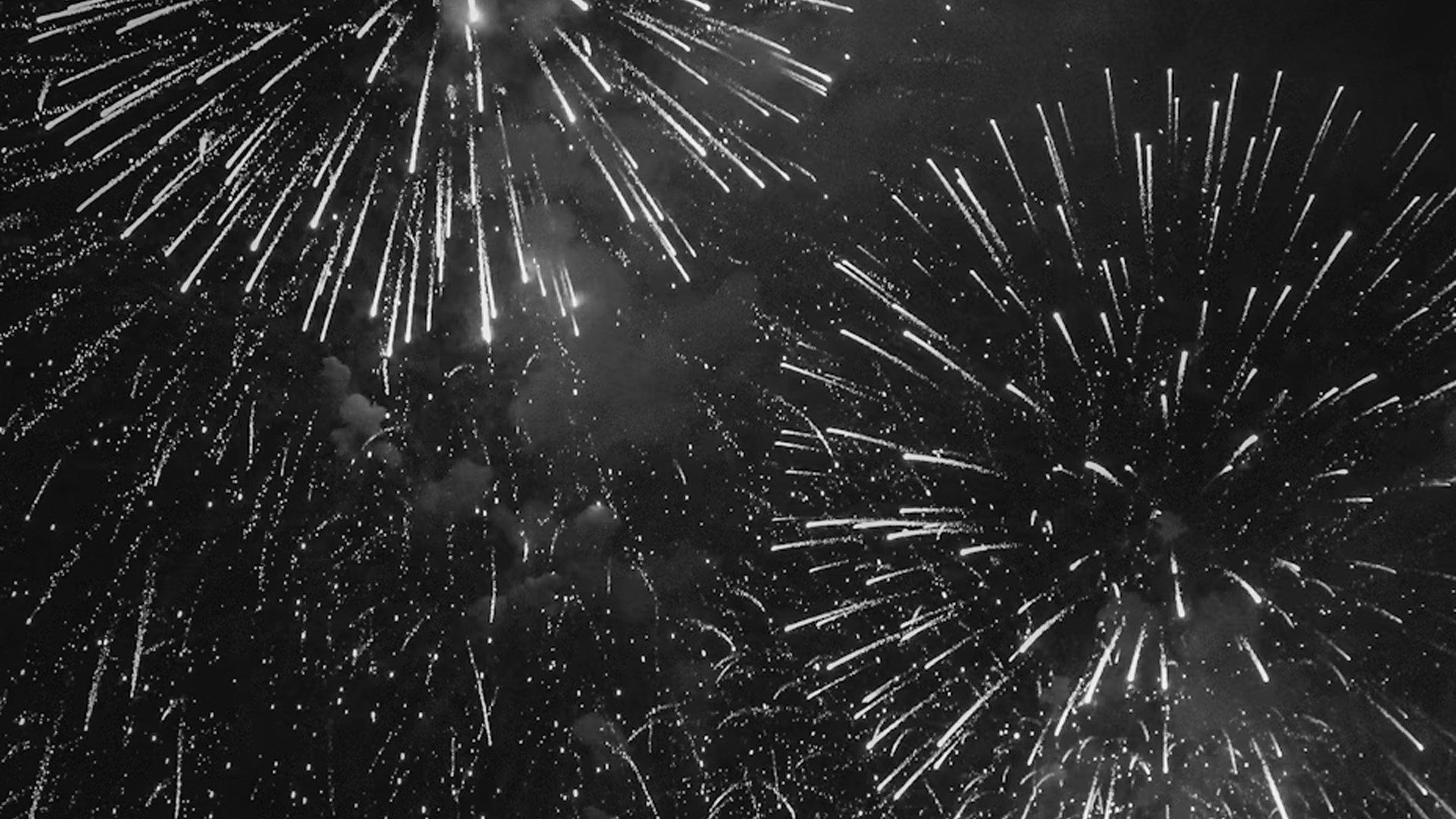 Top 10 Show Tracker Insight Stories of 2025