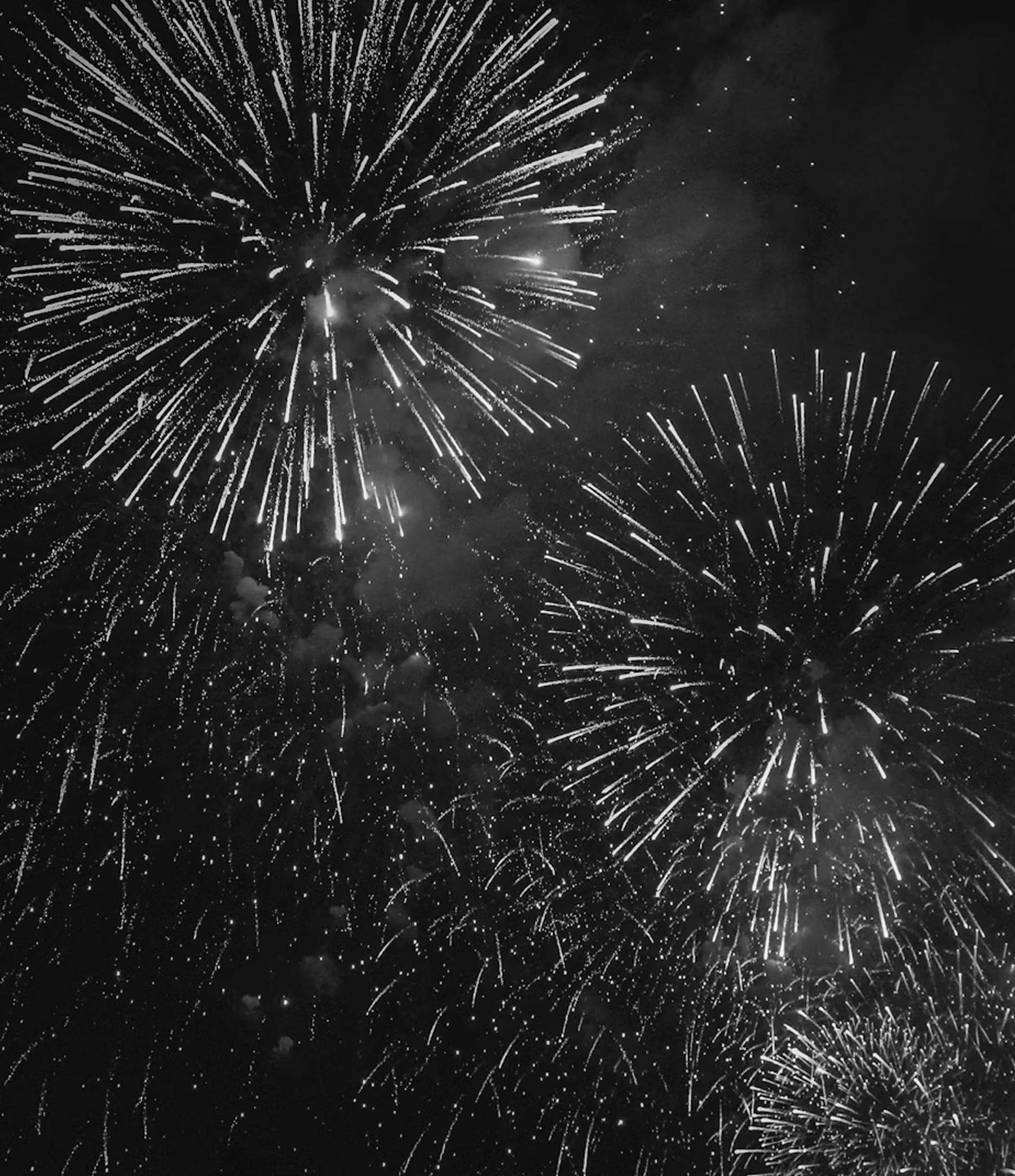 Top 10 Show Tracker Insight Stories of 2025