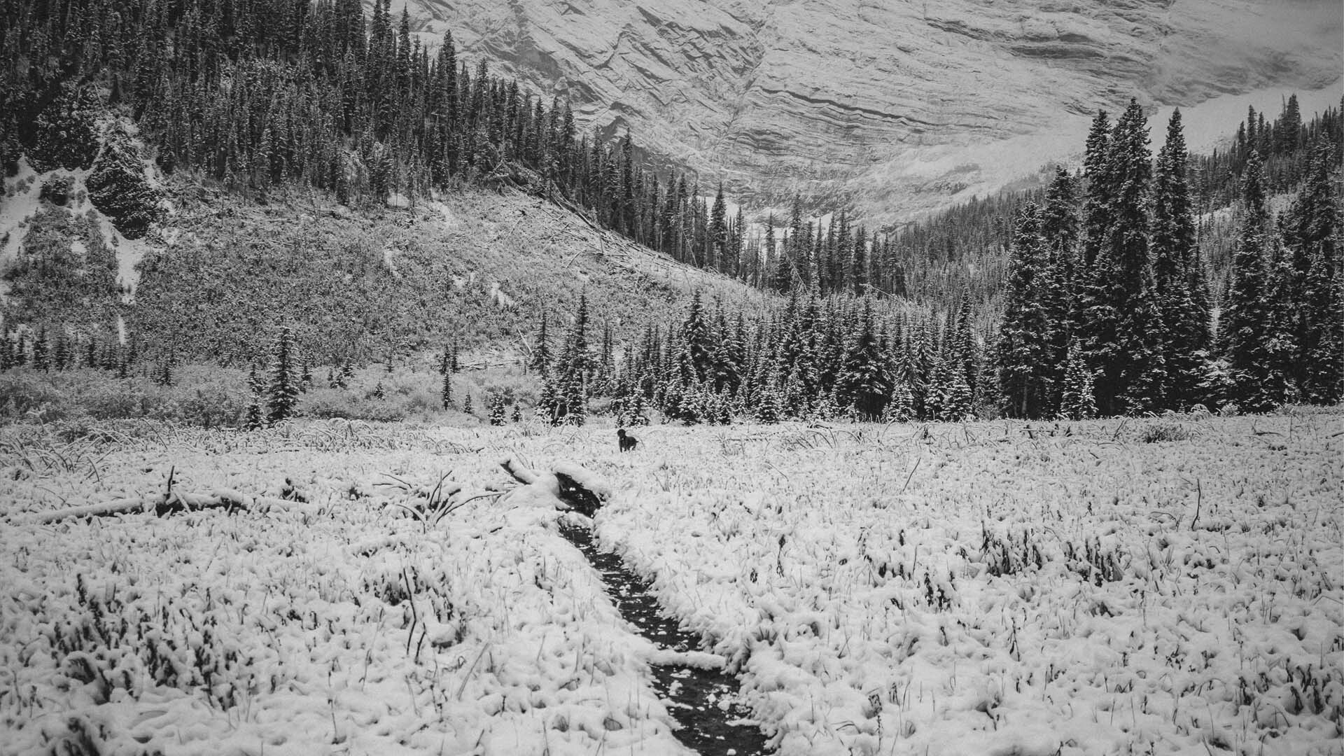 Top FAST Tracker Stories of 2025