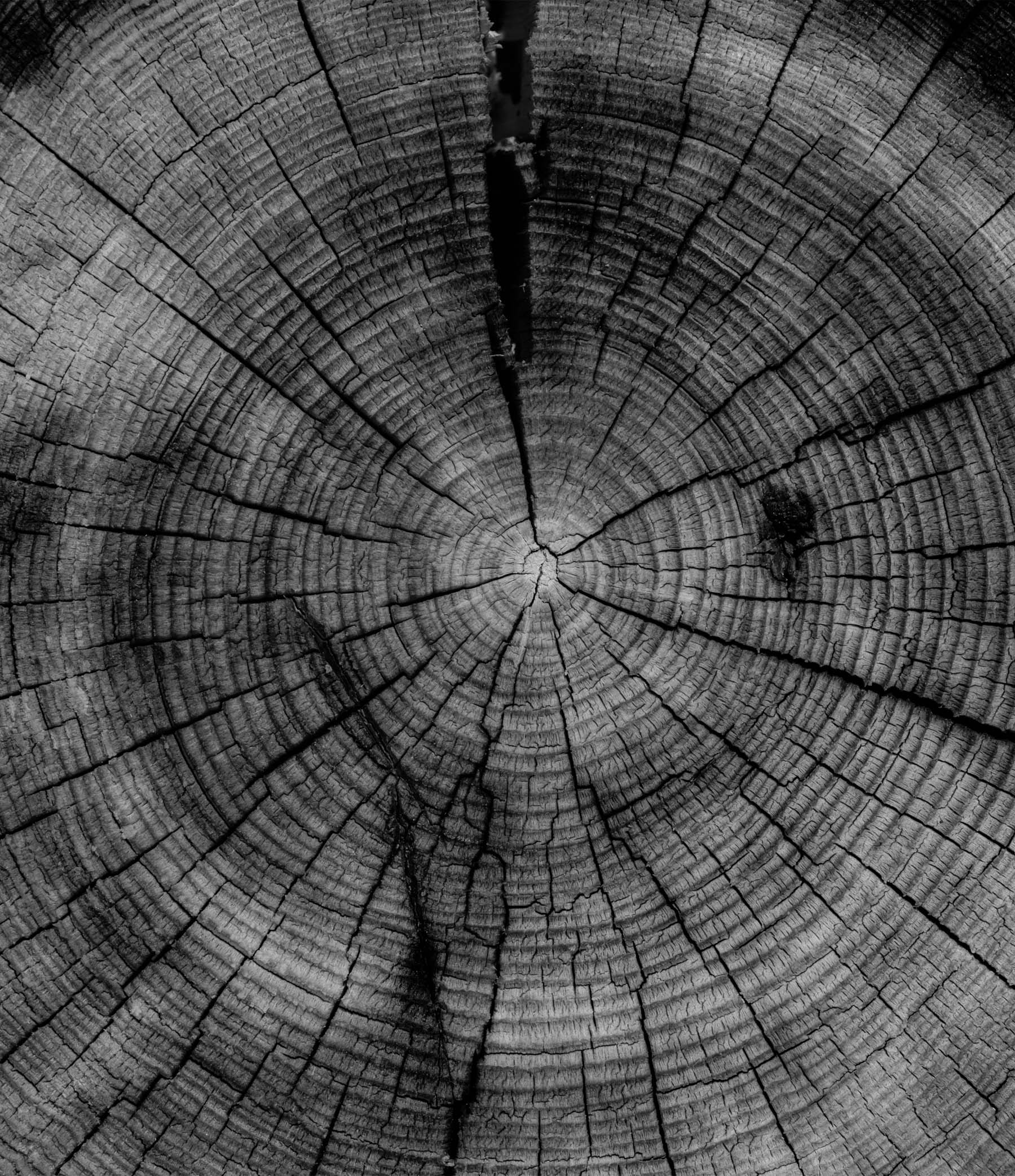 The HBO Max Launch Effect