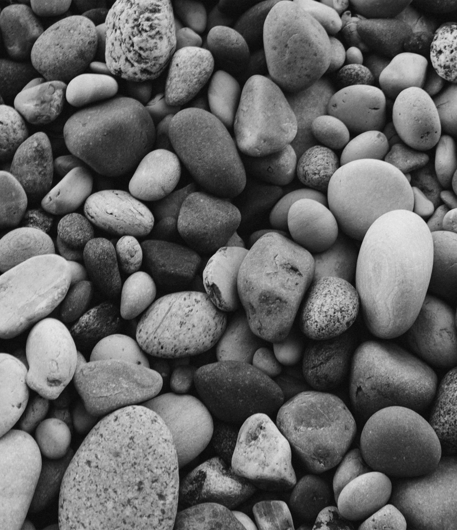 Where All3Media and Banijay Already Synergise