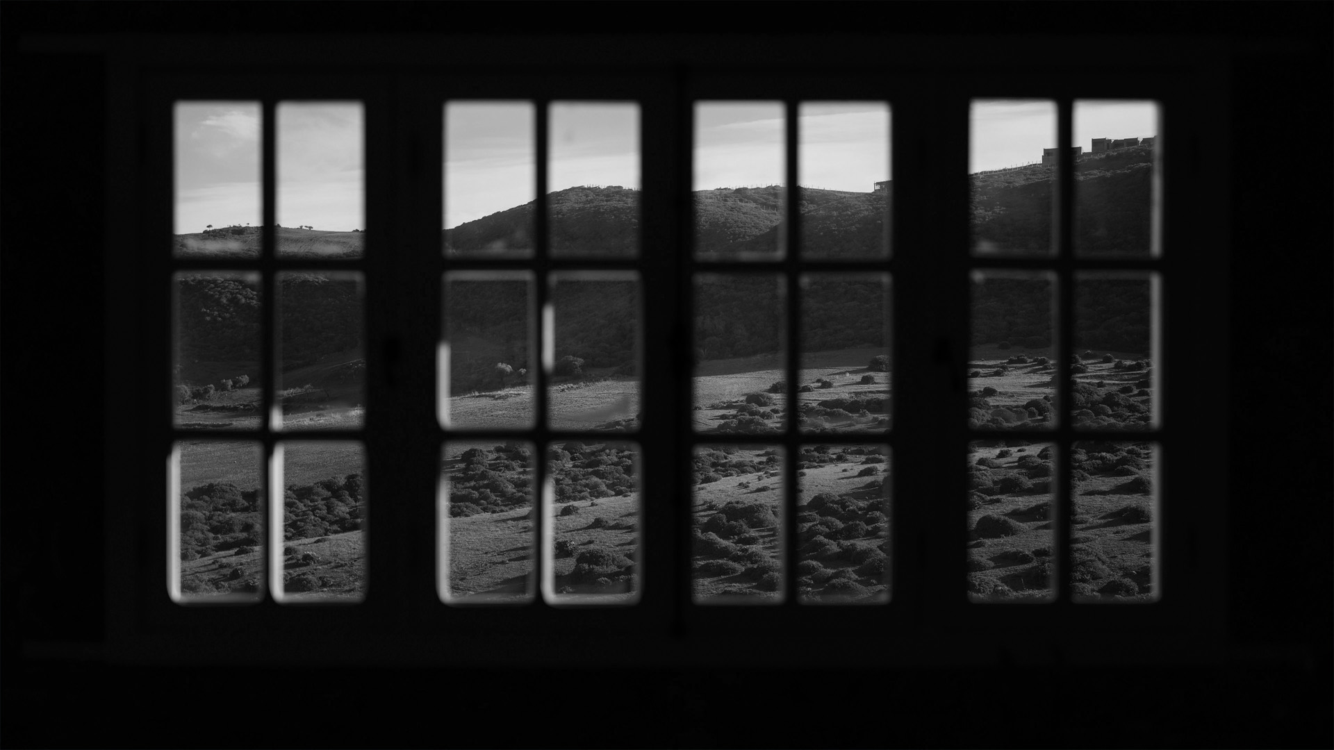 Second Windows Opening up after Studio SVOD
