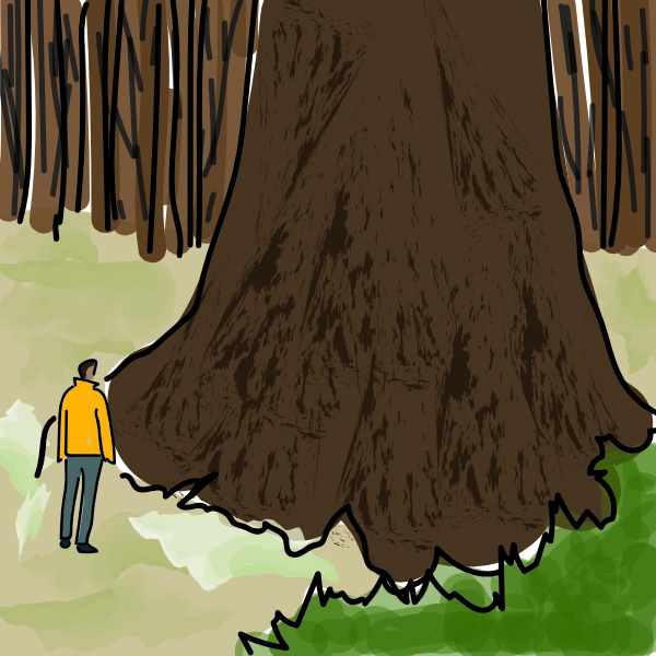 tree.jpg